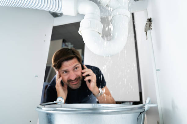 Best Local Plumber Services  in Lake Wildwood, CA