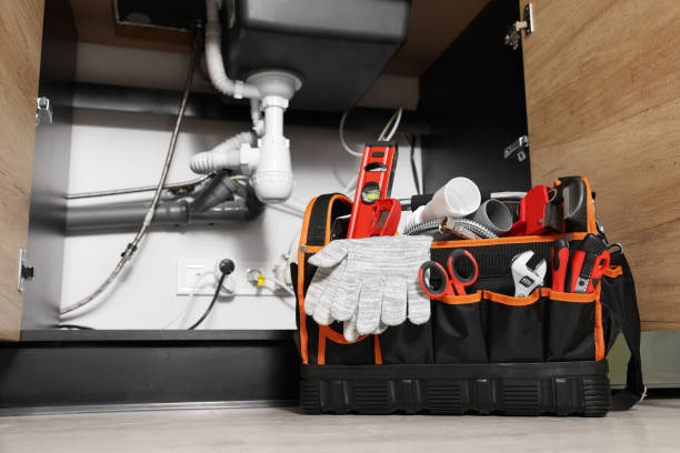 Best Clogged Drain Plumber  in Lake Wildwood, CA