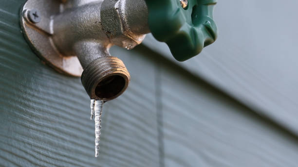 Best Plumbing Services Near Me  in Lake Wildwood, CA